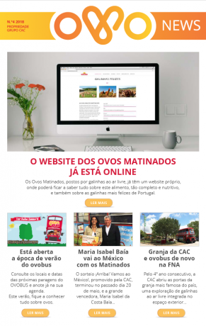 OvoNews - nº4