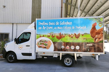 distribuição ovos Matinados