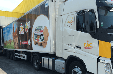 distribuição ovos Matinados