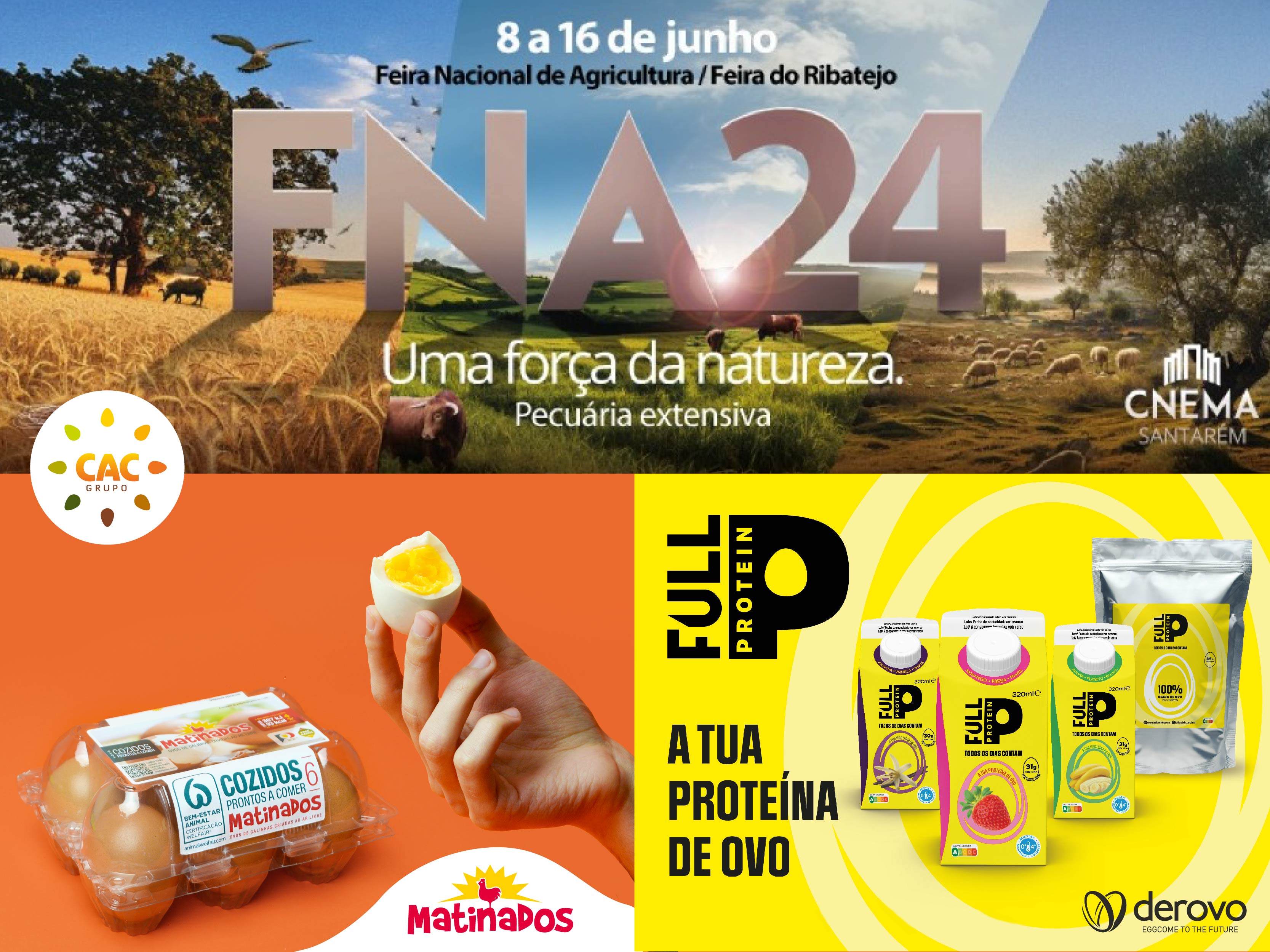 fna 2024 matinados grupo CAC