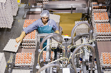 derovo ovoprodutos