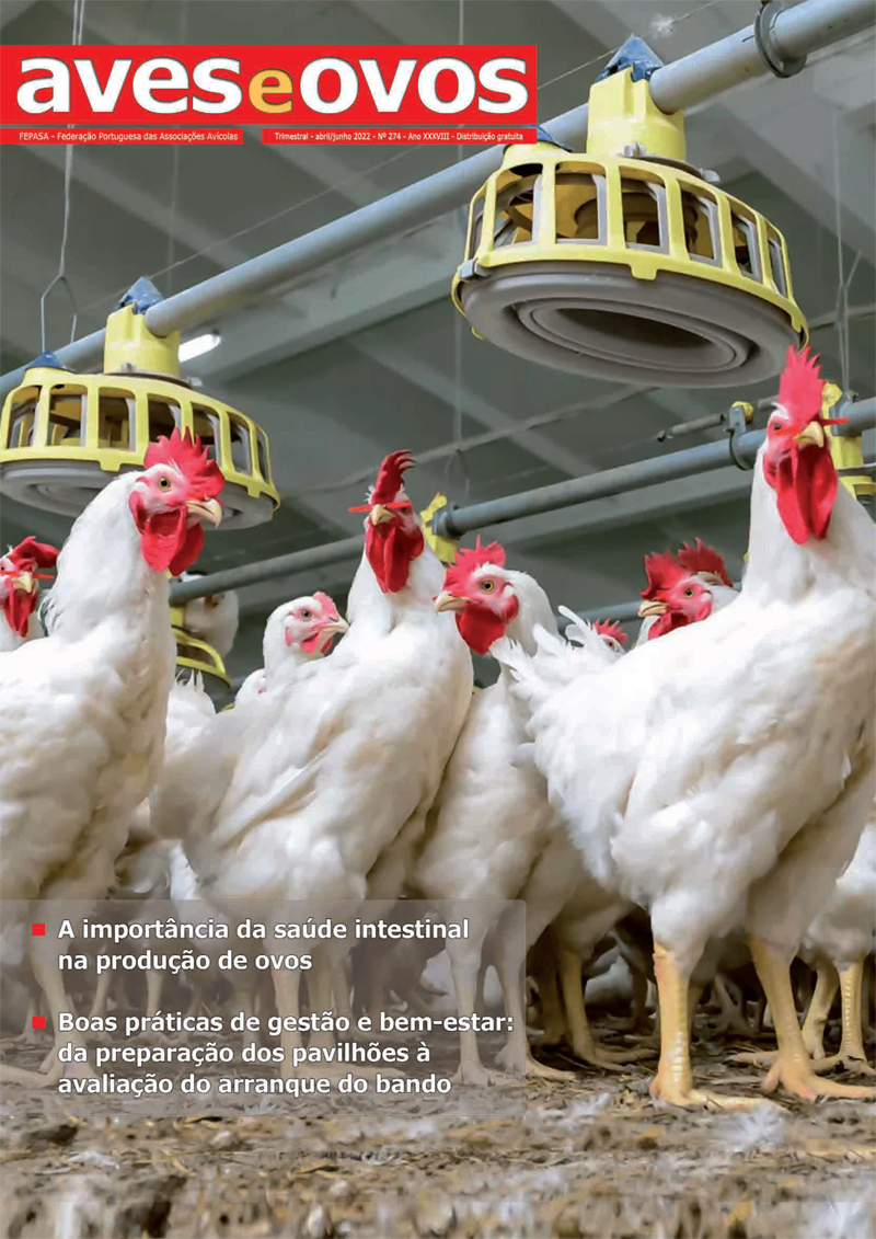 Revista Aves&Ovos n.º274