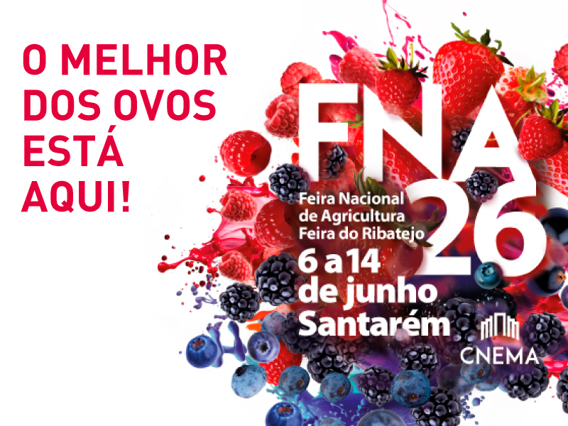 Grupo CAC FNA 2026