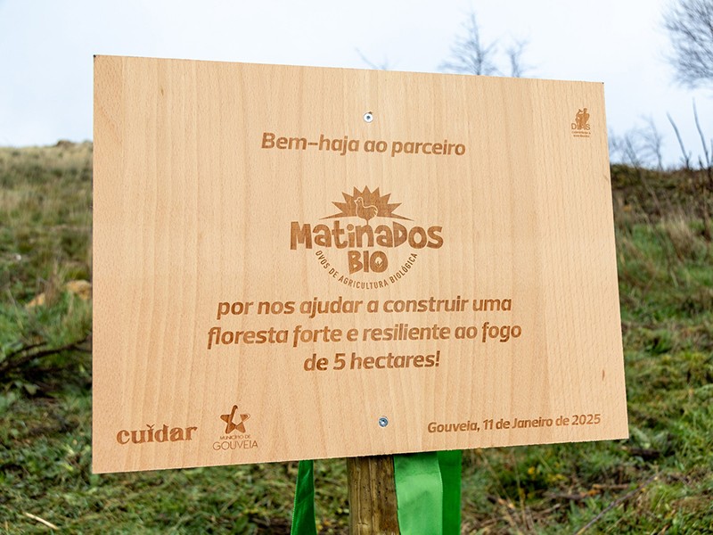 projeto cuidar serra da estrela Matinados