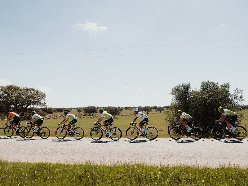 volta ao alentejo bicicleta Tavfer Matinados