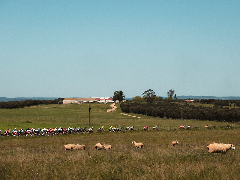 volta ao alentejo bicicleta Tavfer Matinados